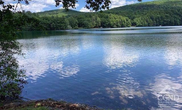 28 Upper Queechy Rd, Canaan, NY 12029 - photo 25