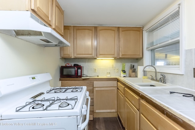 13 Orchard St, Kingston, NY 12401 - photo 15