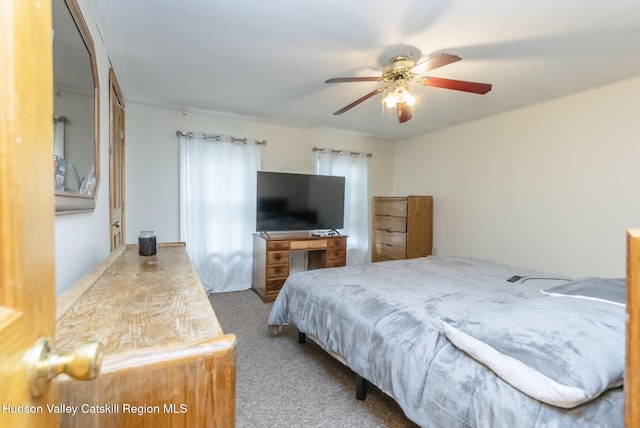 13 Orchard St, Kingston, NY 12401 - photo 23