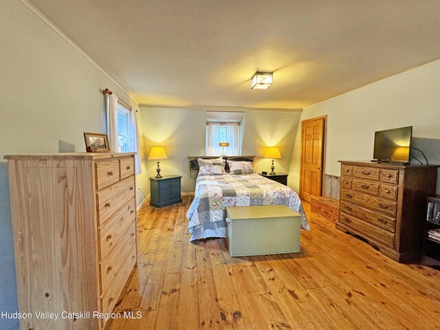 bedroom with multiple windows and light hardwood / wood-style flooring