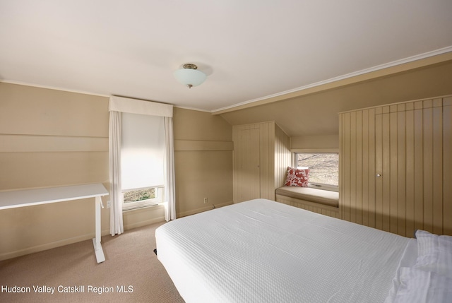 592 County Route 6, High Falls, NY 12440 - bedroom featuring multiple windows, vaulted ceiling, and carpet