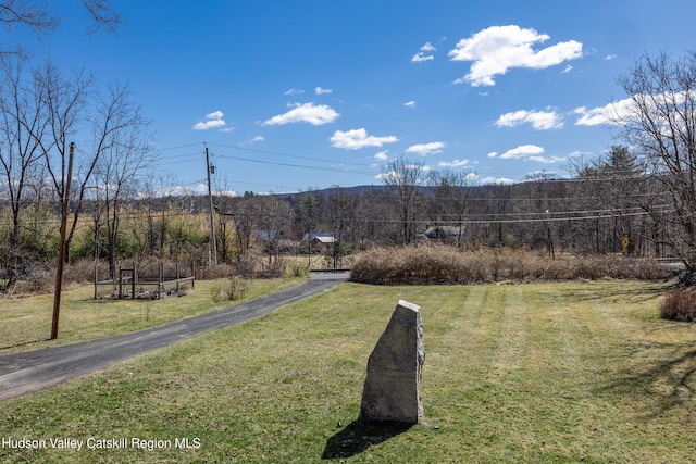 592 County Route 6, High Falls, NY 12440 - view of yard