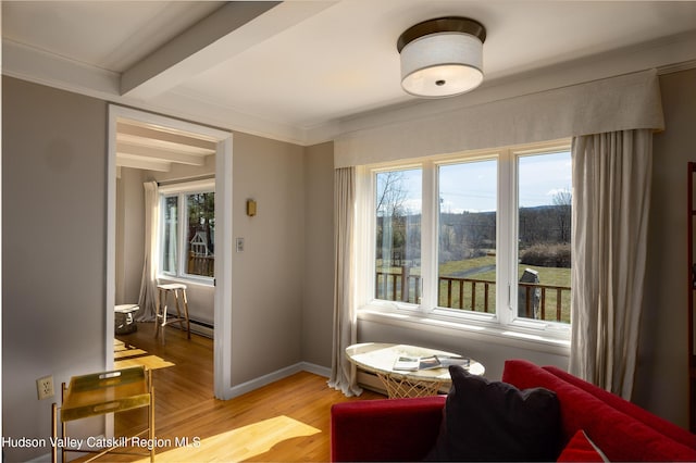 592 County Route 6, High Falls, NY 12440 - living area featuring baseboards, a baseboard radiator, light wood-style flooring, and ornamental molding