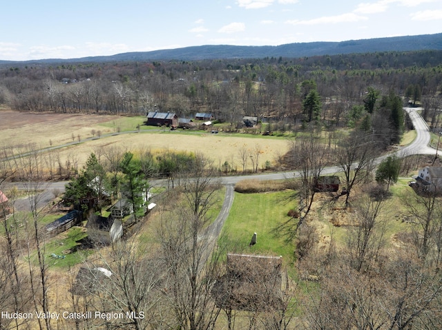 592 County Route 6, High Falls, NY 12440 - drone / aerial view with a mountain view, a wooded view, and a rural view