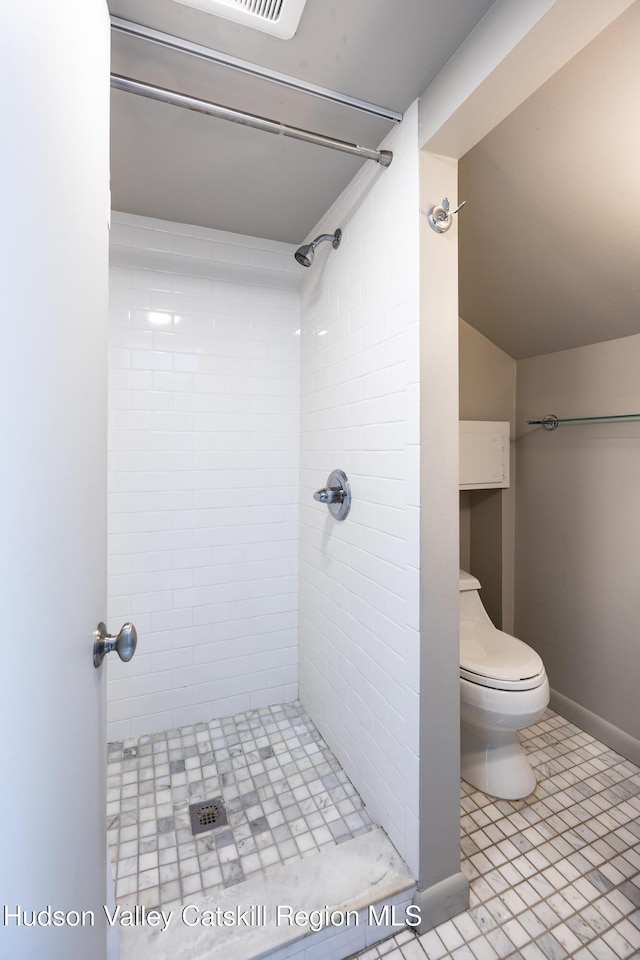 592 County Route 6, High Falls, NY 12440 - bathroom with toilet, lofted ceiling, and a shower stall