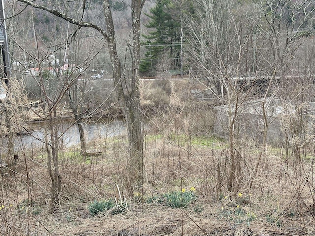 view of landscape with a water view