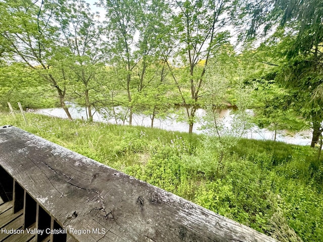 view of landscape featuring a water view