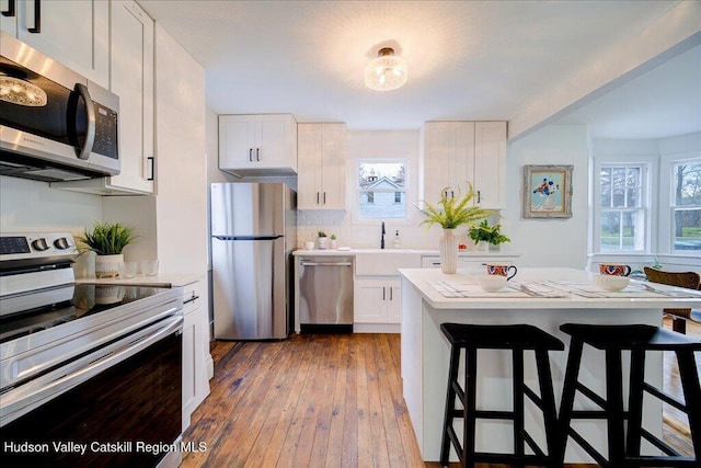 1792 State Route 213, Ulster Park, NY 12487 - kitchen featuring appliances with stainless steel finishes, a kitchen bar, light countertops, white cabinetry, and plenty of natural light