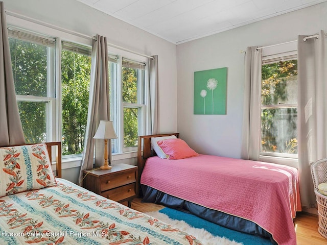 2481 Rte 145, East Durham, NY 12423 - bedroom with multiple windows and wood finished floors