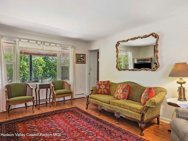 2481 Rte 145, East Durham, NY 12423 - living area featuring a baseboard heating unit, wood finished floors, and crown molding
