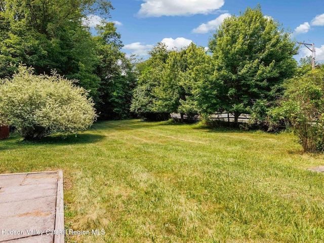 2481 Rte 145, East Durham, NY 12423 - view of grassy yard