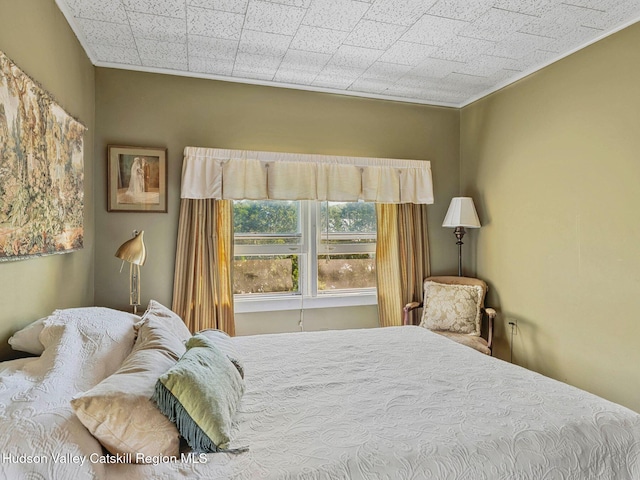 2481 Rte 145, East Durham, NY 12423 - view of bedroom
