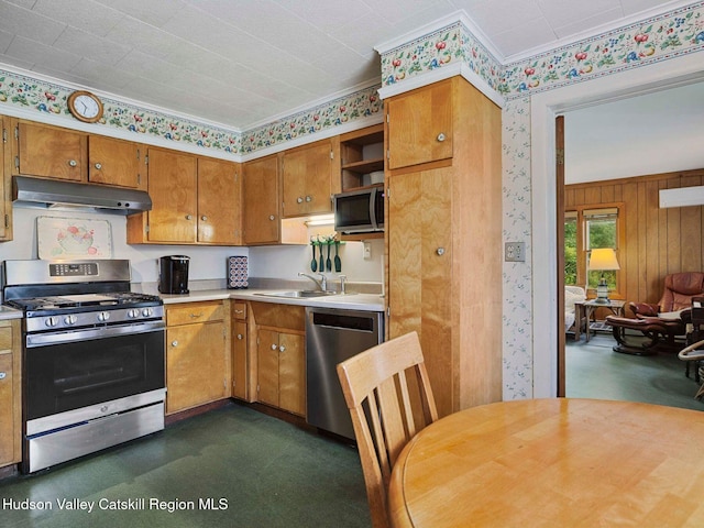 2481 Rte 145, East Durham, NY 12423 - kitchen with appliances with stainless steel finishes, under cabinet range hood, light countertops, brown cabinets, and open shelves