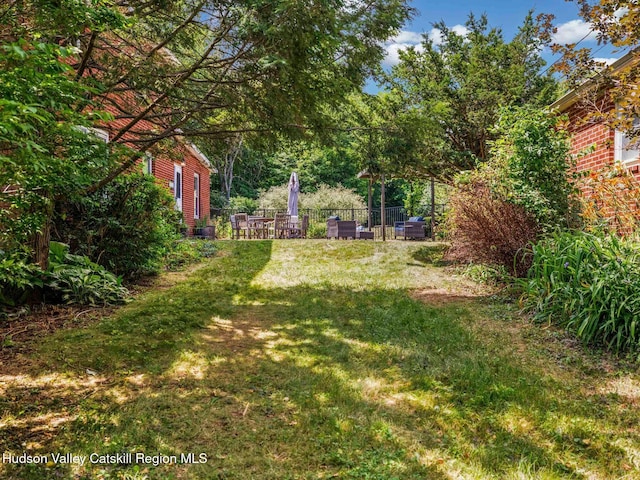 2481 Rte 145, East Durham, NY 12423 - view of yard