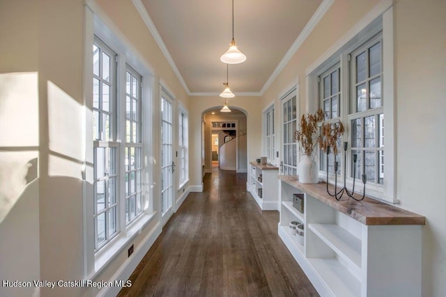 hallway featuring dark hardwood / wood-style flooring, a wealth of natural light, and ornamental molding