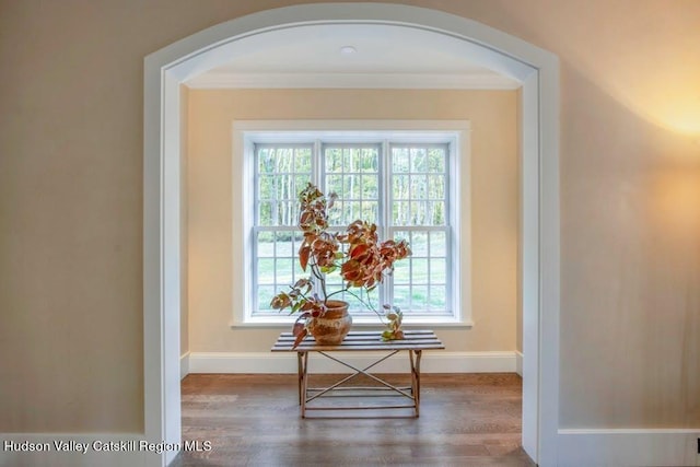 room details with wood-type flooring and ornamental molding