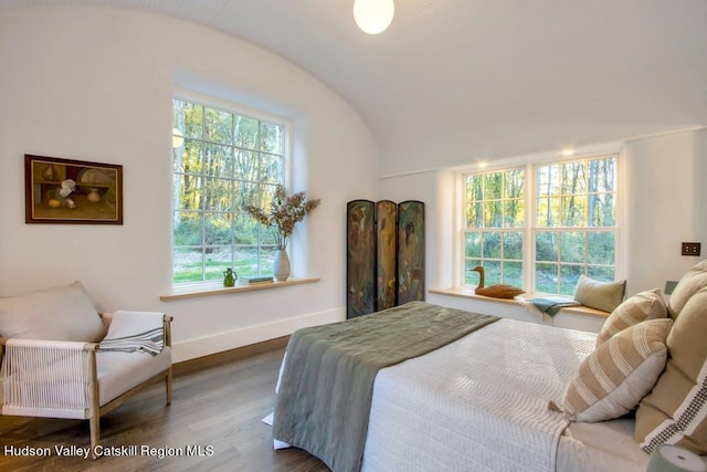 bedroom with multiple windows, vaulted ceiling, and hardwood / wood-style flooring