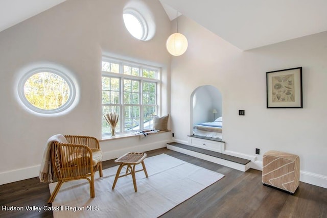 living area featuring dark hardwood / wood-style flooring and high vaulted ceiling