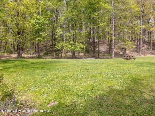 3639 Atwood Rd, Stone Ridge, NY 12484 - photo 11