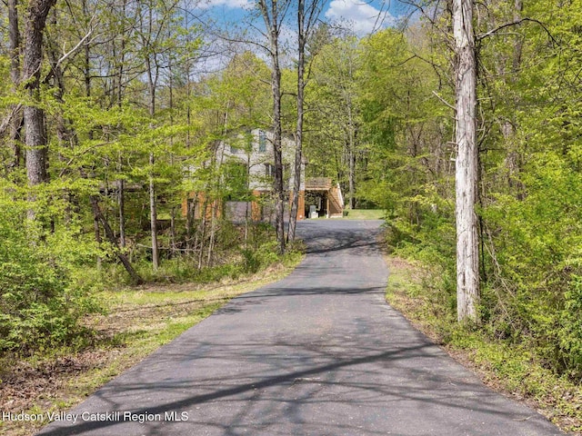 3639 Atwood Rd, Stone Ridge, NY 12484 - photo 27