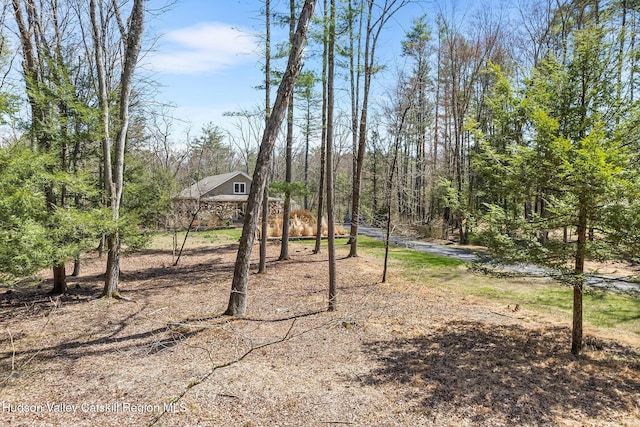 220 John Joy Rd, Woodstock, NY 12498 - view of yard