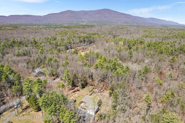 220 John Joy Rd, Woodstock, NY 12498 - mountain view with a forest