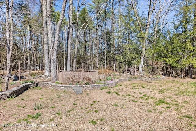 220 John Joy Rd, Woodstock, NY 12498 - view of yard