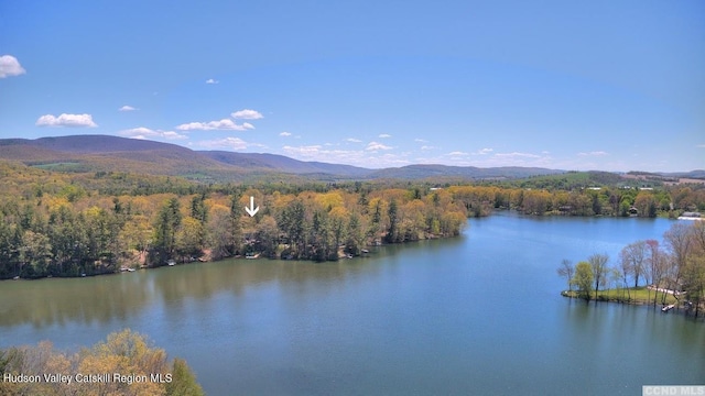 0 Taft Rd, Copake, NY 12516