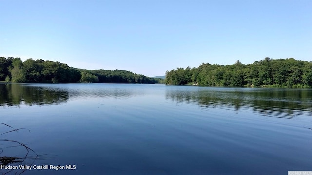 0 Taft Rd, Copake, NY 12516