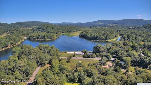 0 Taft Rd, Copake, NY 12516