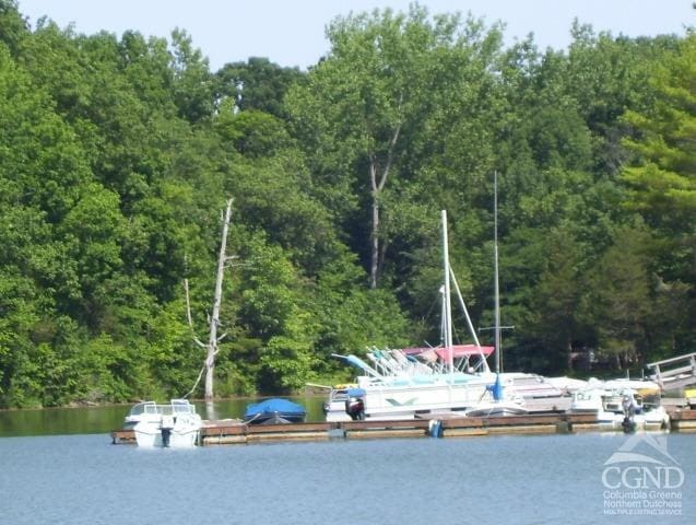 0 Green Dr, Athens, NY 12015