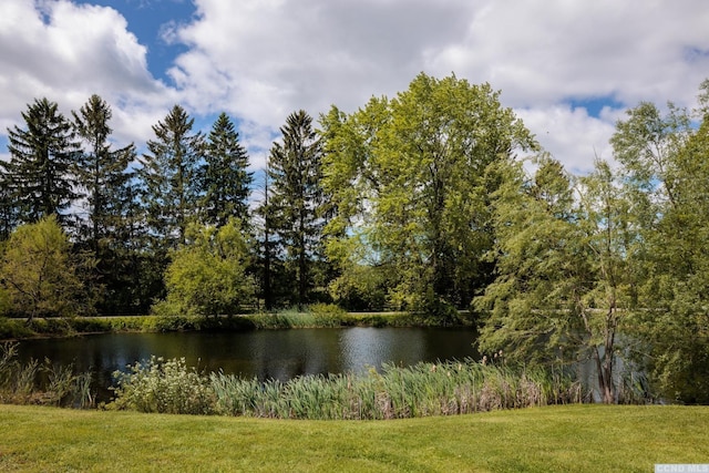 148 Rowe Rd, Milan, NY 12571 - photo 30
