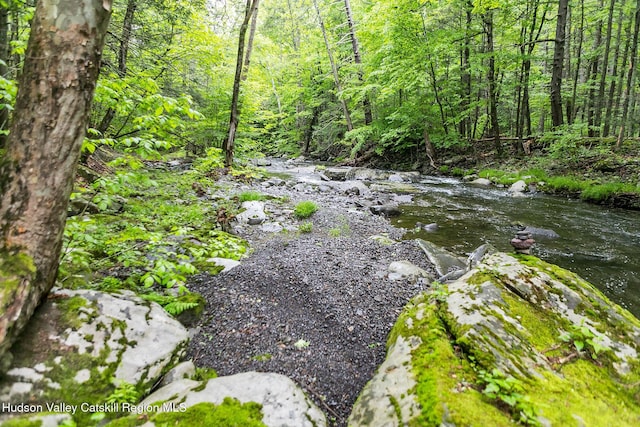 51 Mountain Valley Rd, Boiceville, NY 12412 - view of yard featuring a forest view