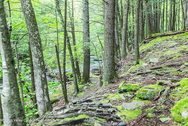 51 Mountain Valley Rd, Boiceville, NY 12412 - view of woods