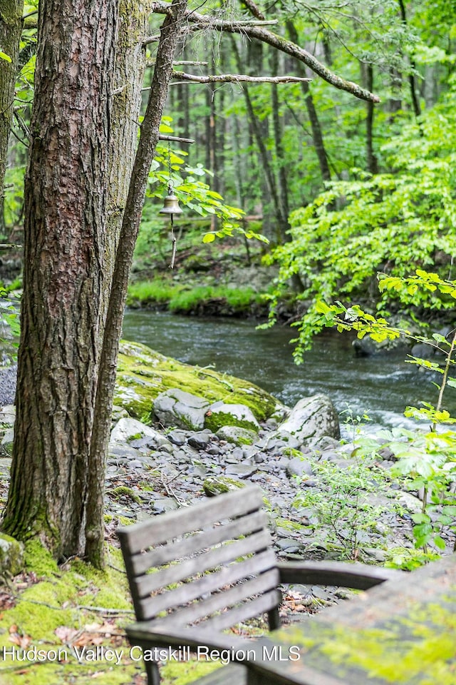 51 Mountain Valley Rd, Boiceville, NY 12412 - view of local wilderness