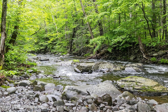 51 Mountain Valley Rd, Boiceville, NY 12412 - view of tree filled area