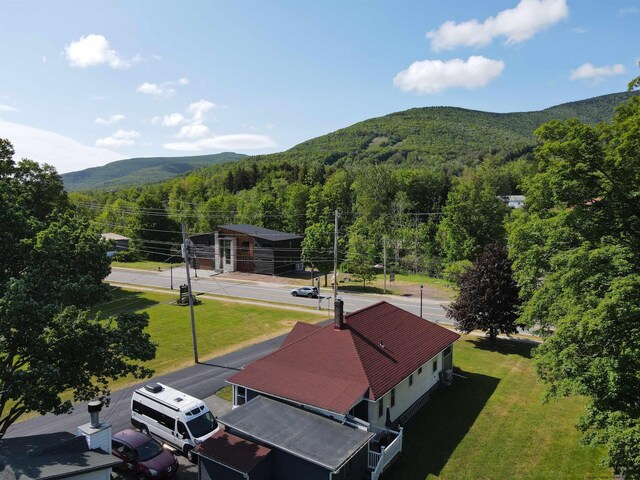 7770 Main St, Hunter, NY 12442 - photo 5