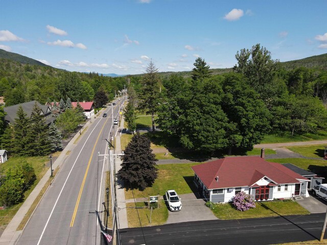7770 Main St, Hunter, NY 12442 - photo 29