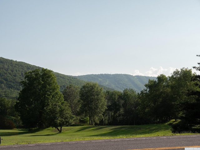 5134 Rte 23, Windham, NY 12496 - photo 23