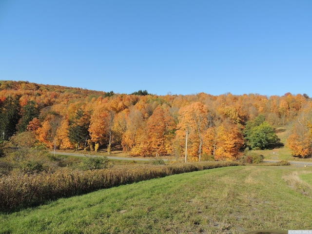274 Bald Mountain Rd, Brunswick, NY 12180