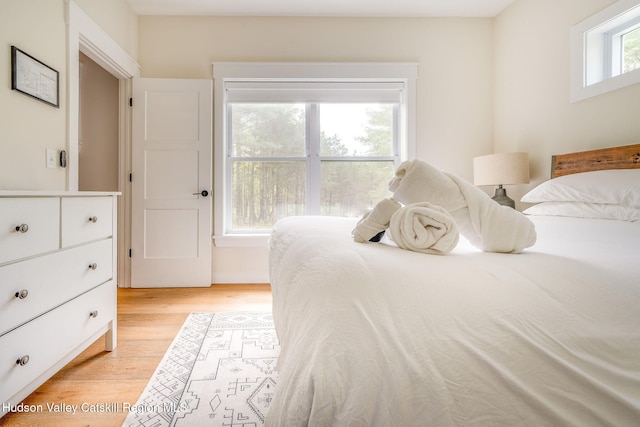 51 Houtman Rd, Saugerties, NY 12477 - bedroom featuring light wood-type flooring