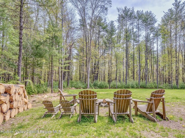 51 Houtman Rd, Saugerties, NY 12477 - view of yard with a fire pit