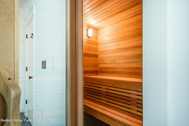 51 Houtman Rd, Saugerties, NY 12477 - view of sauna