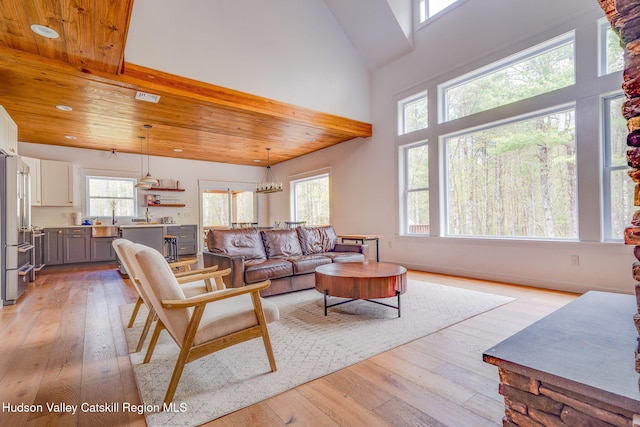 51 Houtman Rd, Saugerties, NY 12477 - living room with a healthy amount of sunlight, wood ceiling, light wood-type flooring, and high vaulted ceiling