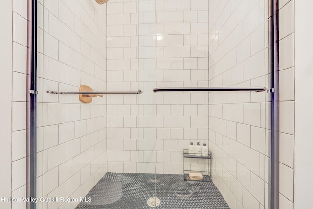 51 Houtman Rd, Saugerties, NY 12477 - bathroom with a stall shower