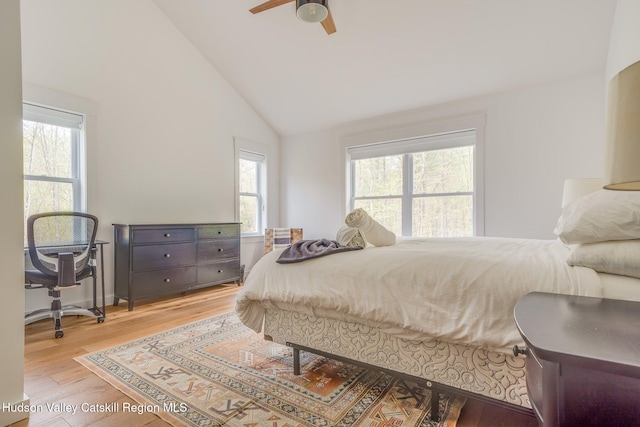 51 Houtman Rd, Saugerties, NY 12477 - bedroom featuring high vaulted ceiling, a ceiling fan, and light wood finished floors