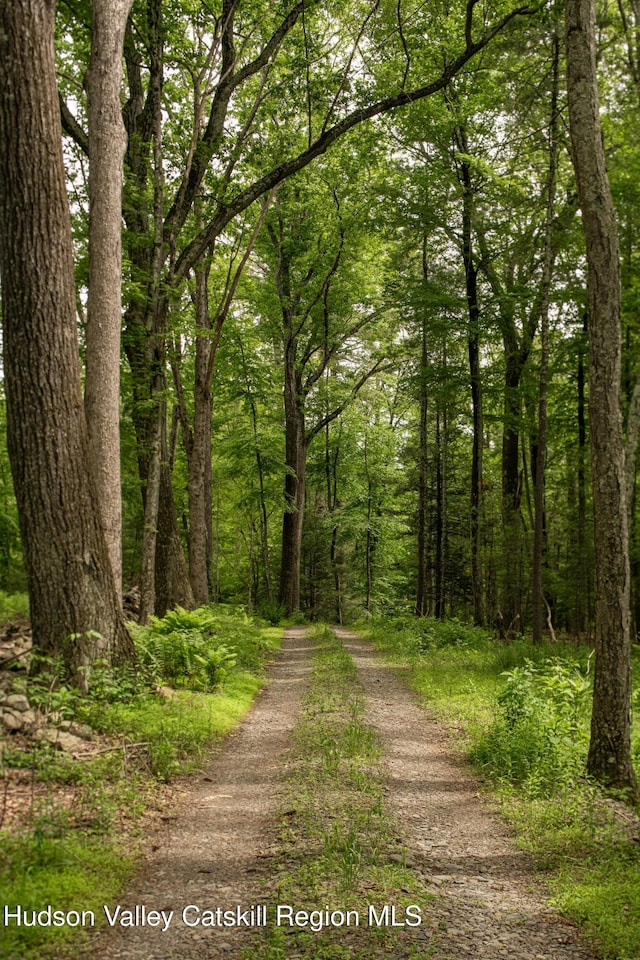 129 Krum Rd, Kerhonkson, NY 12446 - view of dirt / gravel road featuring a forest view
