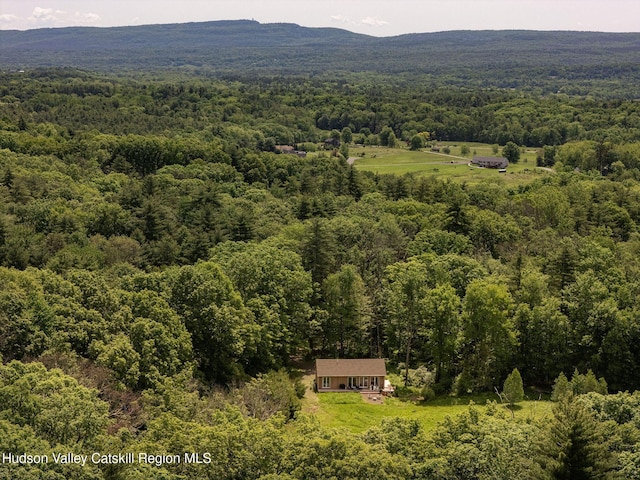 129 Krum Rd, Kerhonkson, NY 12446 - view from above of property featuring a heavily wooded area