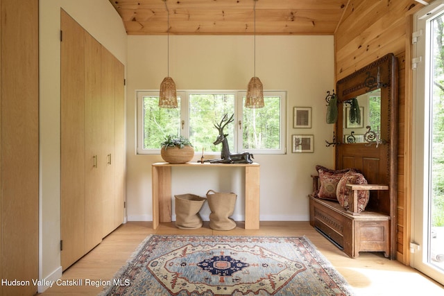 129 Krum Rd, Kerhonkson, NY 12446 - foyer with plenty of natural light, light wood-style flooring, lofted ceiling, wooden ceiling, and baseboards