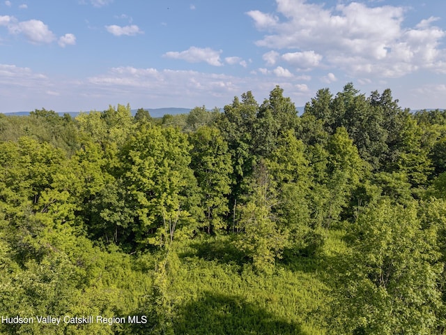 TBD Cooper St, Stone Ridge, NY 12484 - photo 25